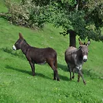Troadkasten - Am Bio-bergbauernhof *