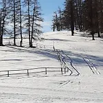 Troadkasten - Am Bio-bergbauernhof Aflenz Kurort