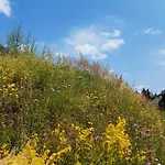 Troadkasten - Am Bio-bergbauernhof Aflenz Kurort