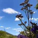 Troadkasten - Am Bio-bergbauernhof Ferienhaus Aflenz Kurort