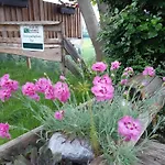 Ferienhaus Troadkasten - Am Bio-bergbauernhof
