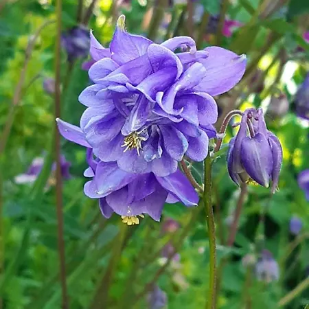 Casa vacanze Troadkasten - Am Bio-bergbauernhof Kammerhofer Vlg Roath *