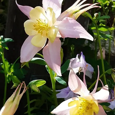 Troadkasten - Am Bio-bergbauernhof Kammerhofer Vlg Roath Casa vacanze Aflenz Kurort