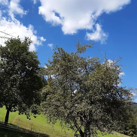 Troadkasten - Am Bio-bergbauernhof Kammerhofer Vlg Roath
