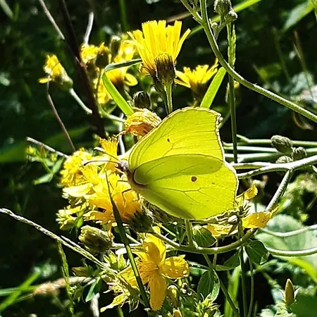 Troadkasten - Am Bio-bergbauernhof Kammerhofer Vlg Roath *