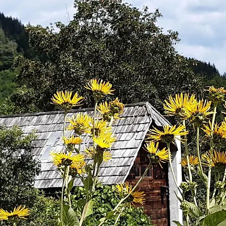 Troadkasten - Am Bio-bergbauernhof Kammerhofer Vlg Roath *