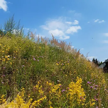 Troadkasten - Am Bio-bergbauernhof Aflenz Kurort