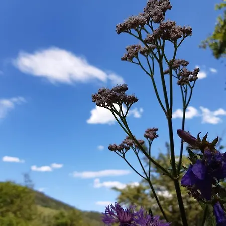 Troadkasten - Am Bio-bergbauernhof Kammerhofer Vlg Roath Casa vacanze Aflenz Kurort