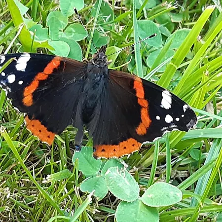 Casa vacanze Troadkasten - Am Bio-bergbauernhof Kammerhofer Vlg Roath *