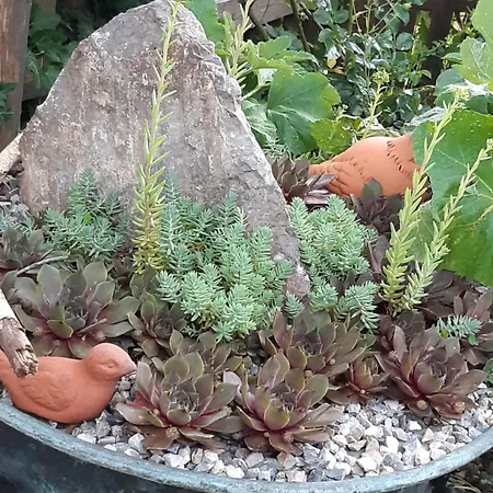 Casa vacanze Troadkasten - Am Bio-bergbauernhof Kammerhofer Vlg Roath