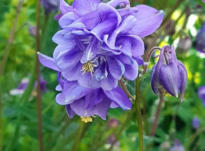 Dom wakacyjny Troadkasten - Am Bio-bergbauernhof Kammerhofer Vlg Roath *