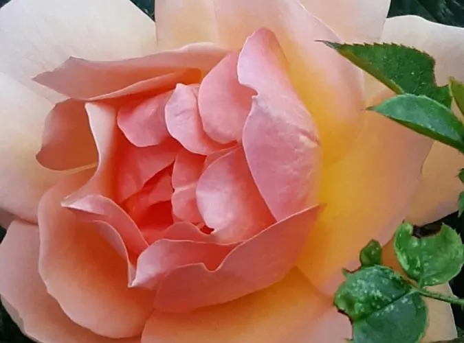 Hébergement de vacances Troadkasten - Am Bio-bergbauernhof Kammerhofer Vlg Roath Aflenz Kurort