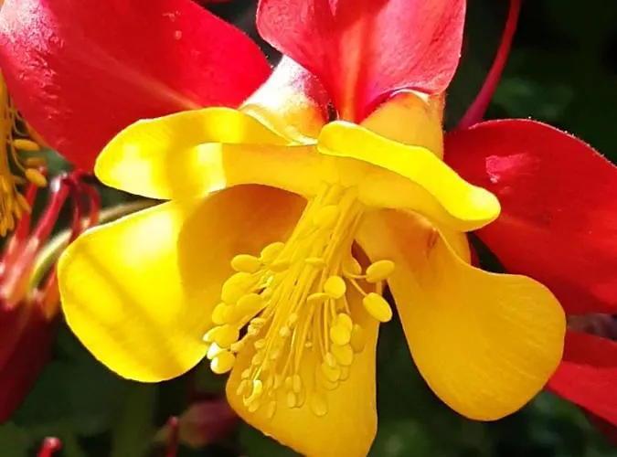 Troadkasten - Am Bio-bergbauernhof Kammerhofer Vlg Roath Hébergement de vacances