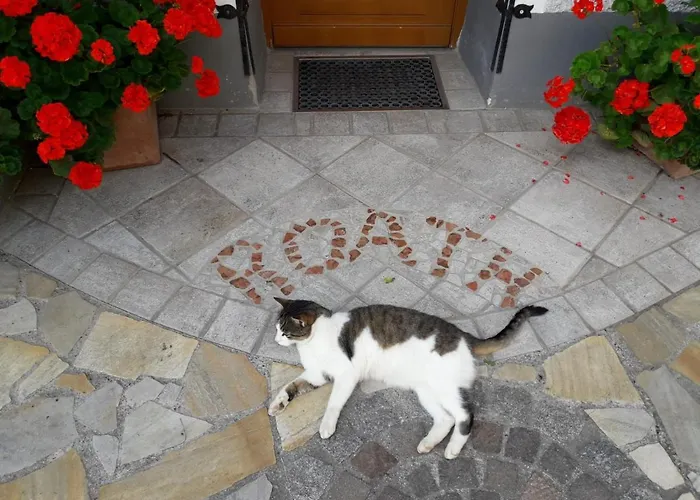 Casa de Férias Troadkasten - Am Bio-bergbauernhof Kammerhofer Vlg Roath *