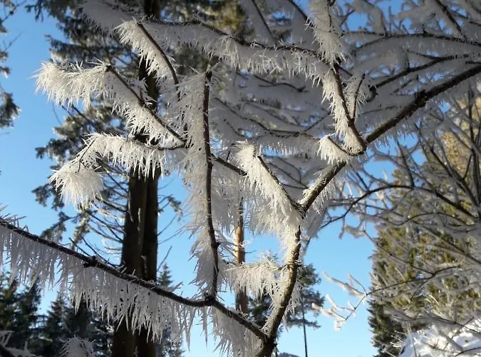 Troadkasten - Am Bio-bergbauernhof Kammerhofer Vlg Roath Prázdninový dům
