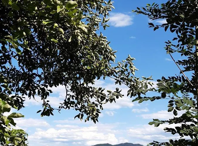 Troadkasten - Am Bio-bergbauernhof Kammerhofer Vlg Roath Aflenz Kurort