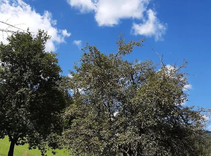 Troadkasten - Am Bio-bergbauernhof Kammerhofer Vlg Roath