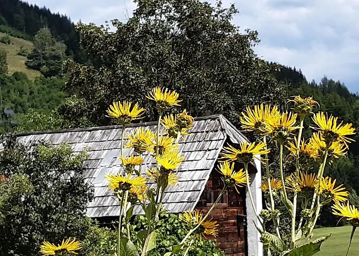 Troadkasten - Am Bio-bergbauernhof Kammerhofer Vlg Roath *