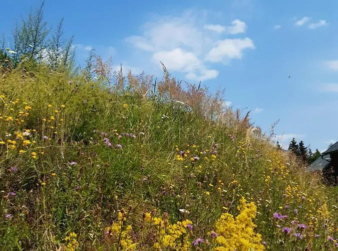 Troadkasten - Am Bio-bergbauernhof Kammerhofer Vlg Roath Aflenz Kurort