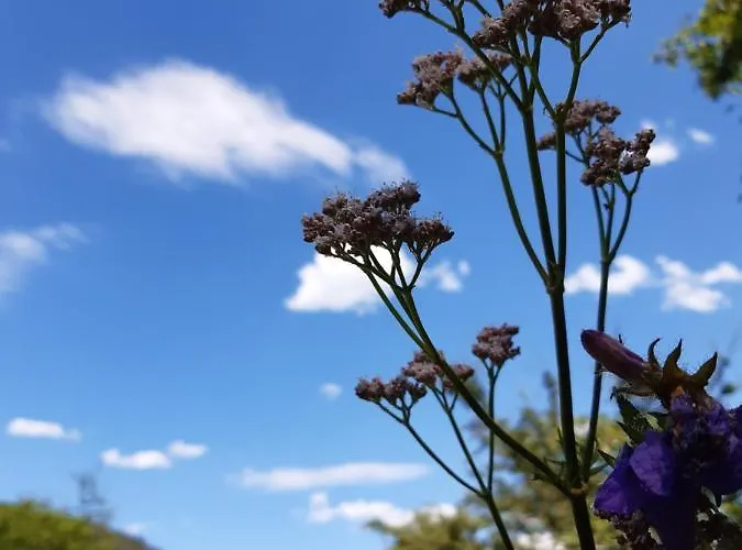Troadkasten - Am Bio-bergbauernhof Kammerhofer Vlg Roath Prázdninový dům Aflenz Kurort