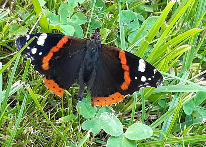 Casa de Férias Troadkasten - Am Bio-bergbauernhof Kammerhofer Vlg Roath *