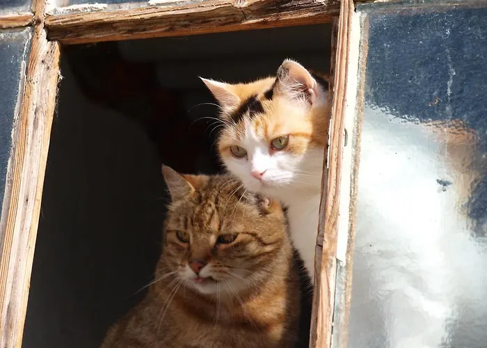 Troadkasten - Am Bio-bergbauernhof Kammerhofer Vlg Roath *