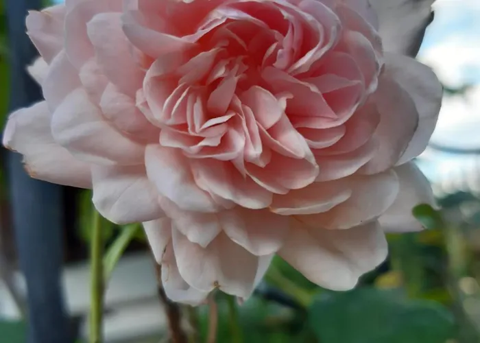 بيت للعطل Troadkasten - Am Bio-bergbauernhof Kammerhofer Vlg Roath *