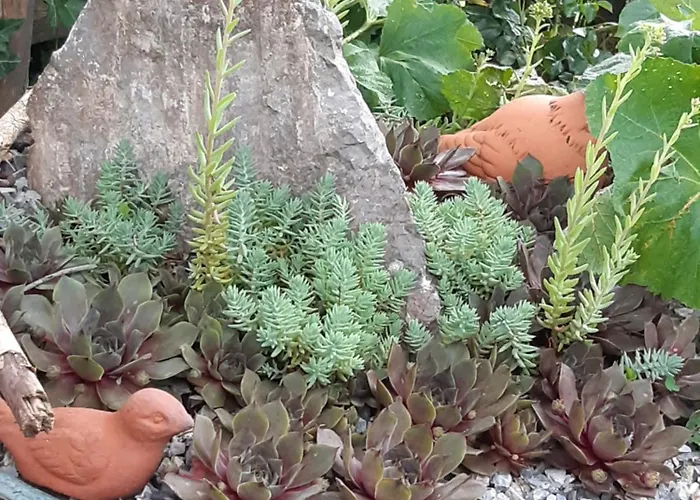 Hébergement de vacances Troadkasten - Am Bio-bergbauernhof Kammerhofer Vlg Roath