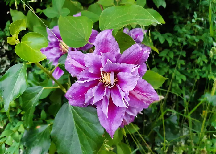 Troadkasten - Am Bio-bergbauernhof Kammerhofer Vlg Roath *