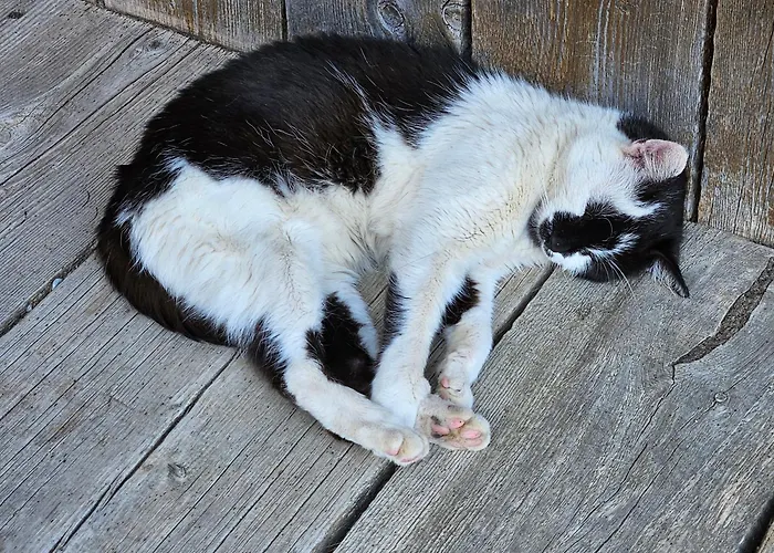 Troadkasten - Am Bio-bergbauernhof Kammerhofer Vlg Roath Aflenz Kurort